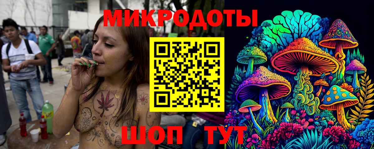 Галлюциногенные грибы Psilocybe Александров