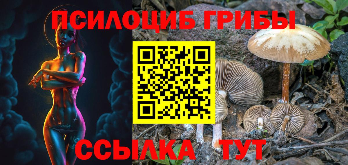 Галлюциногенные грибы ЛСД  Вход с VPN  Александров 